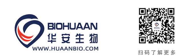 整體LOGO 適用于公眾號.png