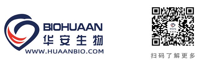 整體LOGO 適用于公眾號.png
