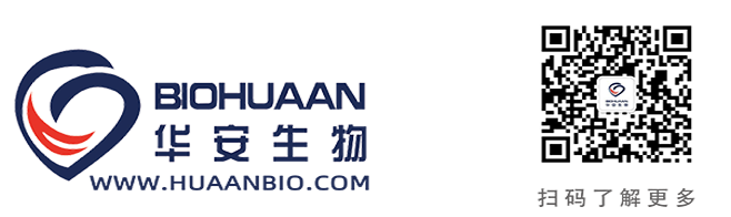 改完整體LOGO 適用于公眾號.png